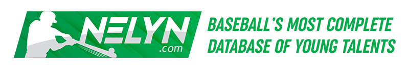 logo-nelyn-footer